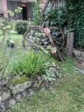 IMG 20200712 101658