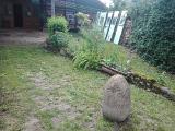 IMG 20200712 101757