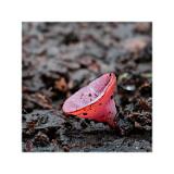 2019-11-18 20-08-40 (C,Smoothing1)-Bearbeitet 60x60cm 10x10cm--sRGB