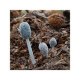 DSC1422-Bearbeitet-Bearbeitet 60x60cm 10x10cm--sRGB