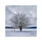 DSC0241 HDR 60x60cm Signatur 10x10cm-sRGB