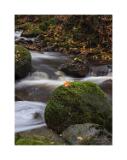 DSC5094-Bearbeitet-Bearbeitet 40x53 Signatur-2 Rahmen 5cm weis