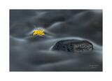 DSC5300-Bearbeitet-2-Bearbeitet 40x60cm Signatur Rand 5cm