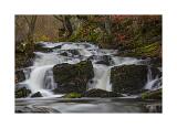 DSC5307-Bearbeitet 40x60cm Signatur Rand 5 weiss