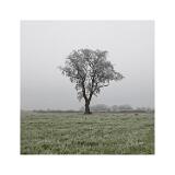 DSC5319-6-C,S1-Bearbeitet 40x40cm Signatur Rand