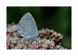 008A0565 81-topaz-rawdenoise-sharpen-Bearbeitet 40x60cm Signatur Rand