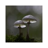 Scene B Stack 03+04 40x40cm Signatur Rand