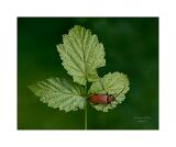 Stack 39  08A3865-23 B,R8,S4-Bearbeitet 40x50cm Signatur Rand