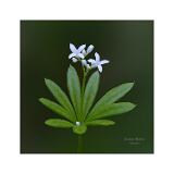 Stack 4  MG 0420-45C,S1-Bearbeitet 40x40cm Signatur Rand