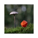 Stack 24 08A2931-37-B R8 S4-Bearbeitet-Bearbeitet 40x40cm Signatur Rand-2