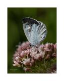 08A0670-Bearbeitet-Bearbeitet 40x53,3cm Signatur Rand