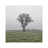 DSC5319-6-C,S1-Bearbeitet 40x40cm Signatur Rand
