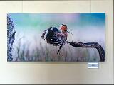 IMG 4712-Bearbeitet
