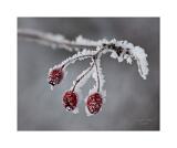 Stack 36 08A3424-27-C S4 40x50cm Signatur Rand