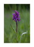 Stack 07 08A0639-20-B R8 S4 40x60cm Signatur Rand