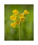 Stack07 08A1129-52-B R8 S4-2 40x50cm Signatur Test Rand