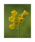 Stack07 08A1129 40x50cm Signatur Rand