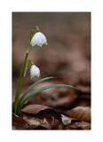 Stack12 08A0782-30-B R8 S4 40x60cm Signatur Rand