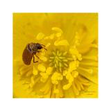 Stack22 08A2695-29-B R8 S4 40x40cm Signatur Rand
