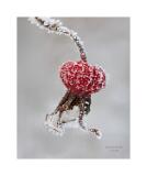 Stack 29 08A2710-51-B R8 S4 40x50cm Signatur Rand