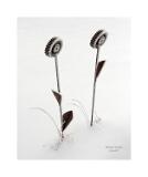 DSC6998 40x50cm Signatur Rand