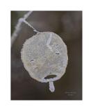 MG 2540-21 B-R1-S1 40x50cm Signatur Rand