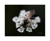 IMG 2262 12 40x50cm Signatur Rand