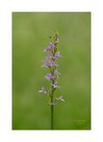 Stack 28 08A2050-31-C S4 40x60cm Signatur Rand