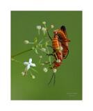 Stack 54 08A3180-21-B R9 S4 40x50cm Signatur Rand
